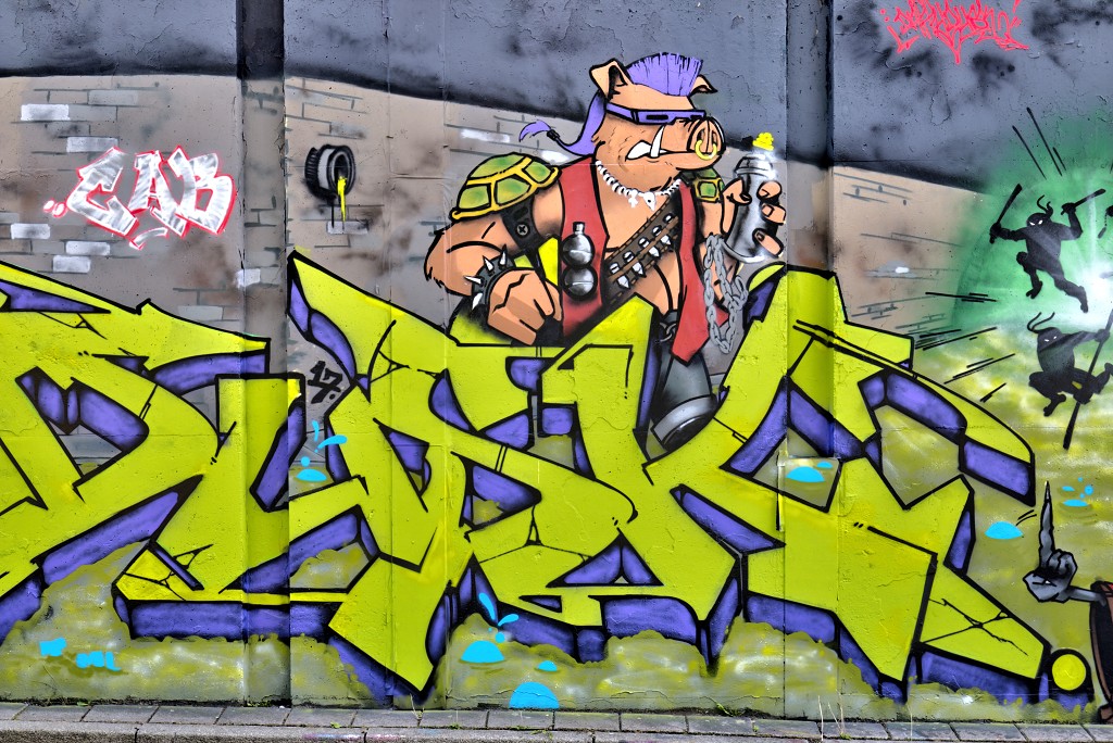 graffiti eindhoven hdr urbex art kunst kunstwerk mural murals berenkuil straatkunst